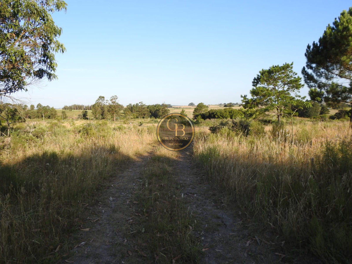 Chacra ID.1219 - Venta de Chacra en Estación La Floresta