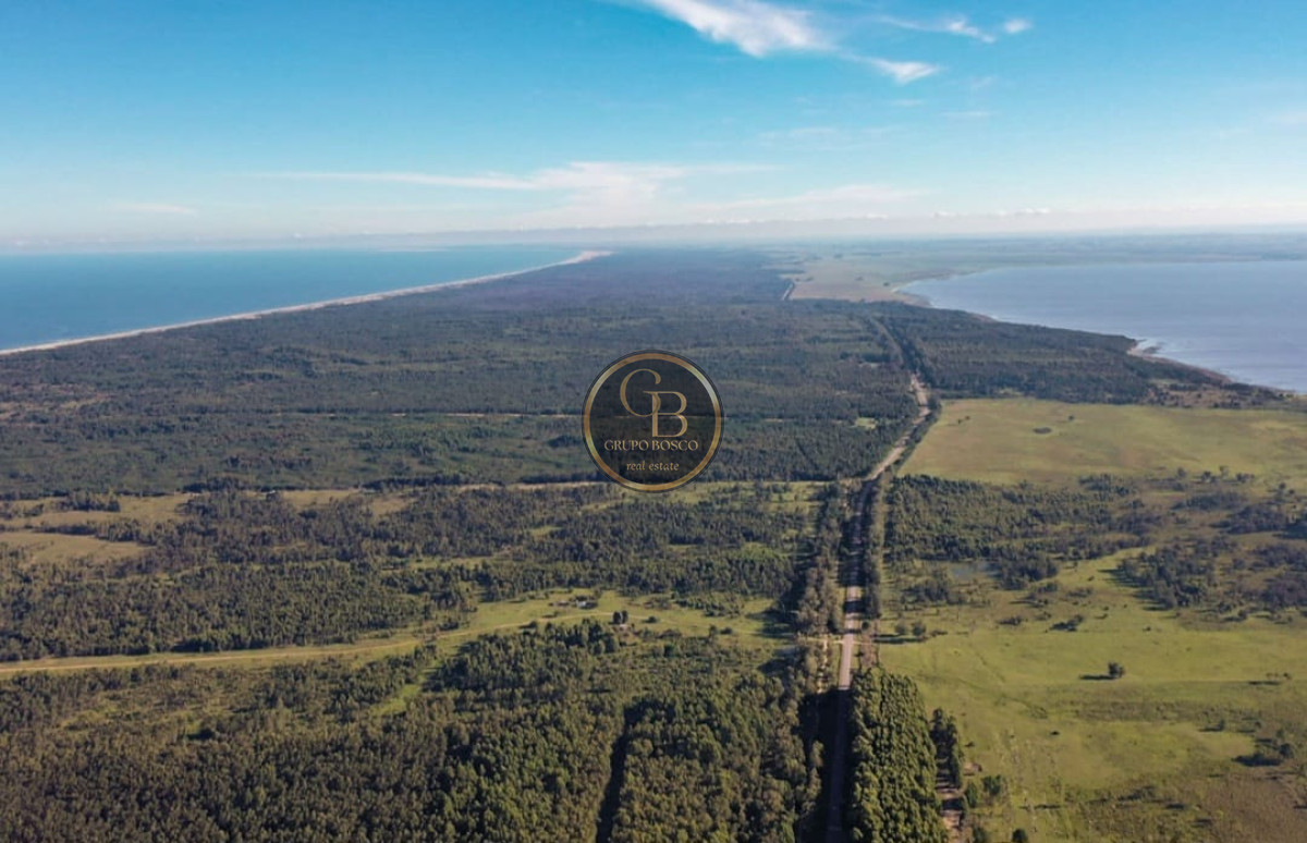 Chacra ID.1048 - En Venta Chacra en Punta del Diablo