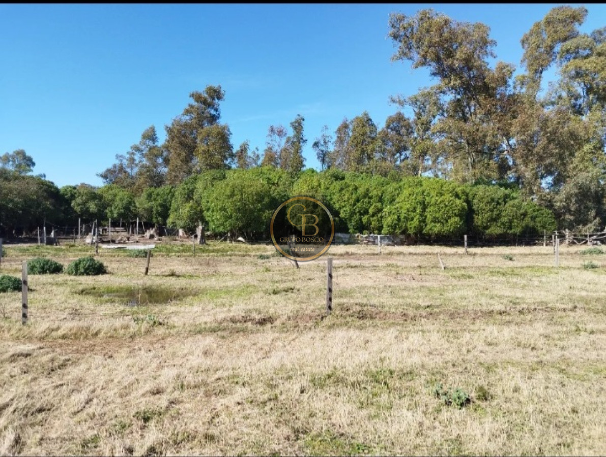 Chacra ID.1227 - Venta de Chacra 5.9 Hectareas en Atlantida