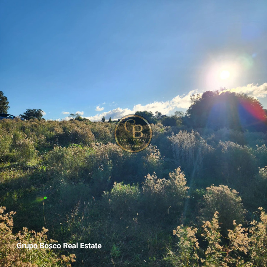 Chacra ID.1104 - Chacra en venta o alquiler