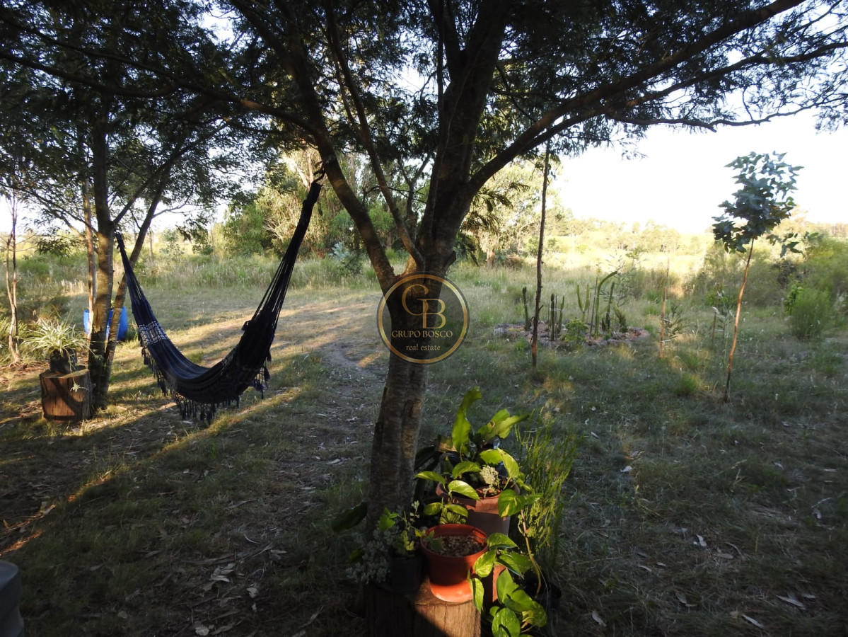 Chacra ID.1210 - Venta de Chacra en Estación La Floresta 