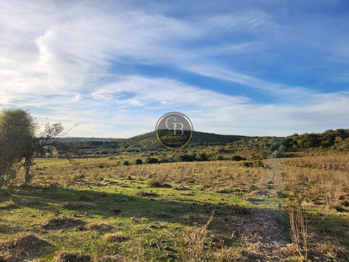 Chacra ID.1060 - Chacra en Venta (36 hectáreas ), Garzón