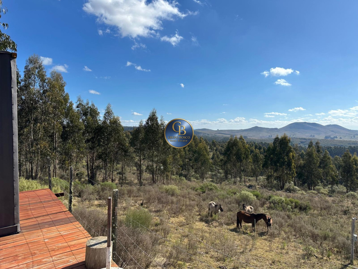 Chacra ID.1478 - VENTA, Chacra en zona Villa Serrana, Minas.