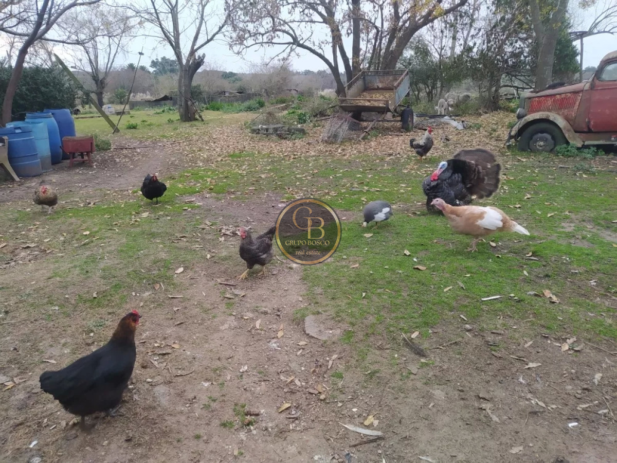 Chacra ID.1225 - Venta de Chacra de 5 has en Pando 