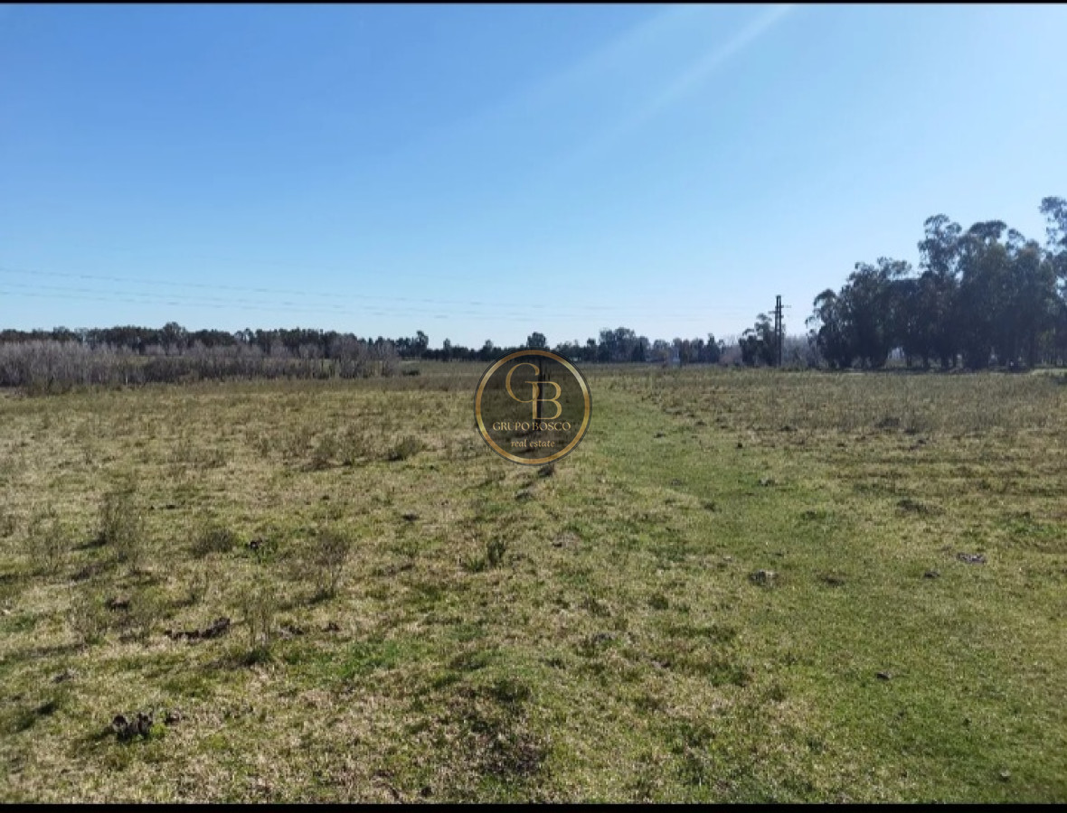 Chacra ID.1227 - Venta de Chacra 5.9 Hectareas en Atlantida