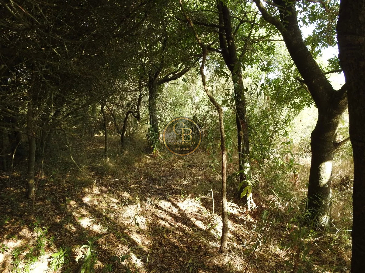 Chacra ID.1210 - Venta de Chacra en Estación La Floresta 