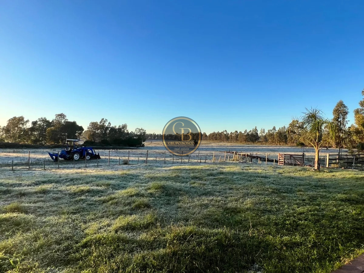 Chacra ID.1216 - Venta de Chacra de 15 Hectáreas en San Jacinto 