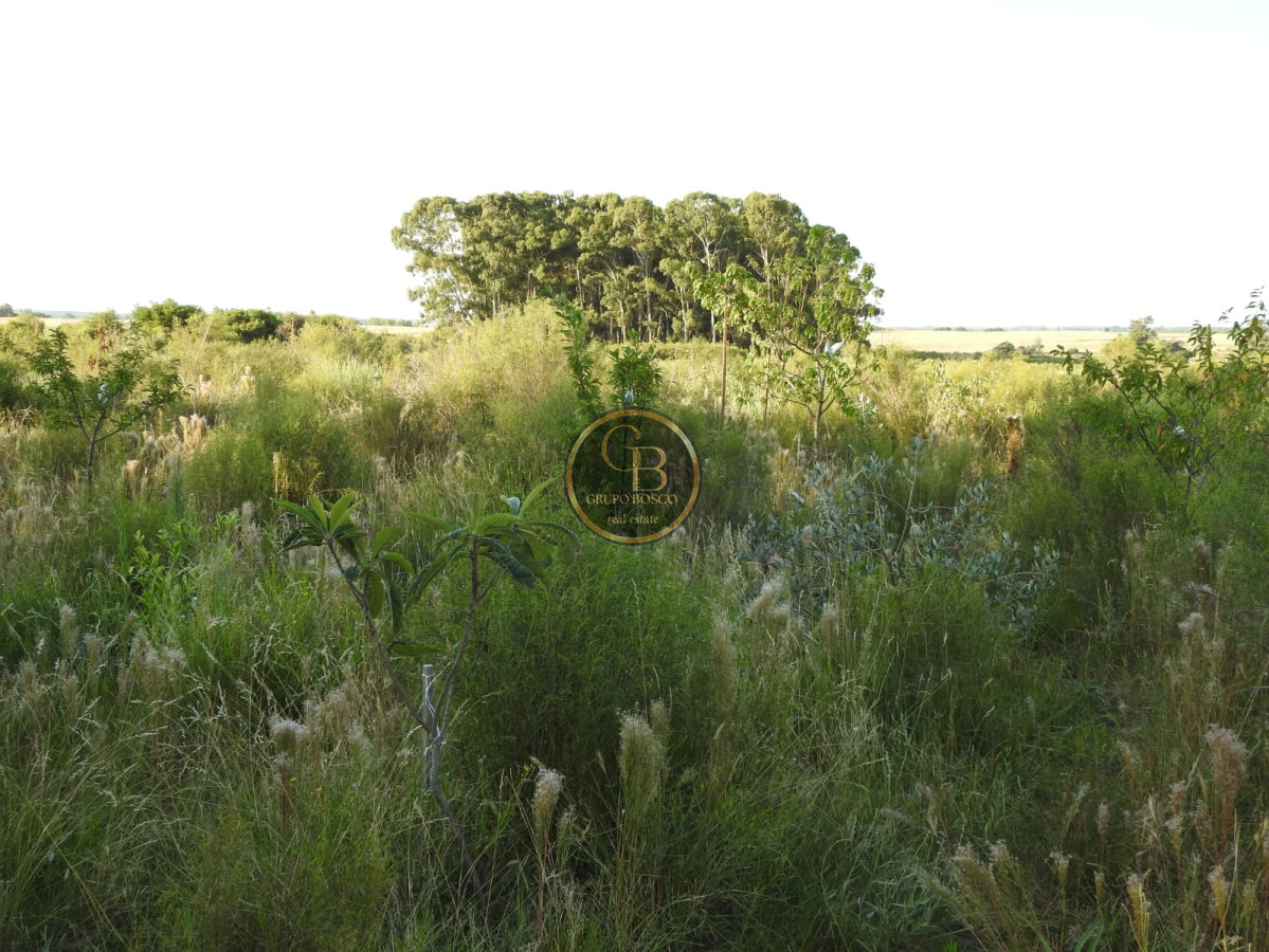 Chacra ID.1210 - Venta de Chacra en Estación La Floresta 