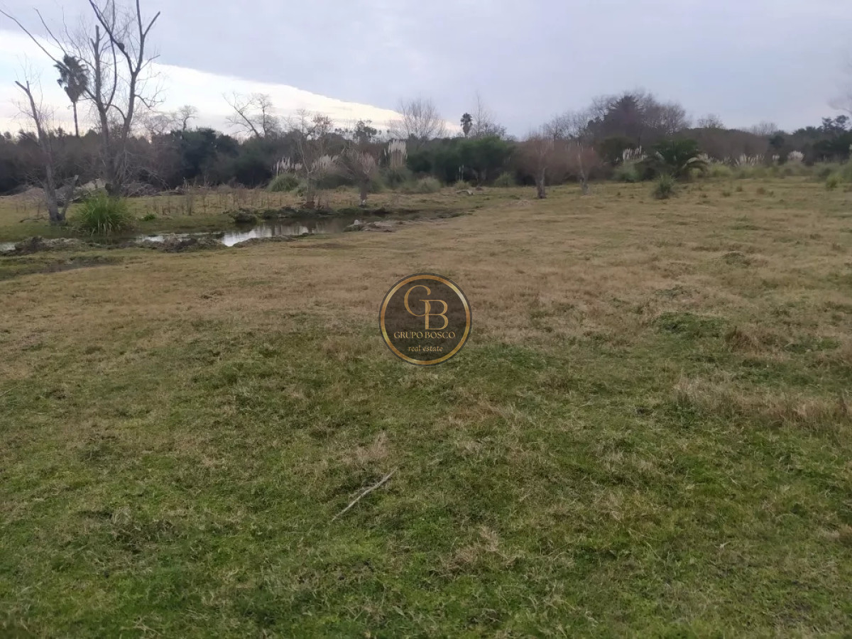 Chacra ID.1225 - Venta de Chacra de 5 has en Pando 