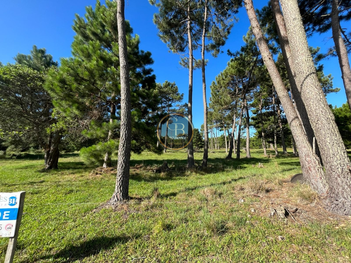 Chacra ID.1048 - En Venta Chacra en Punta del Diablo