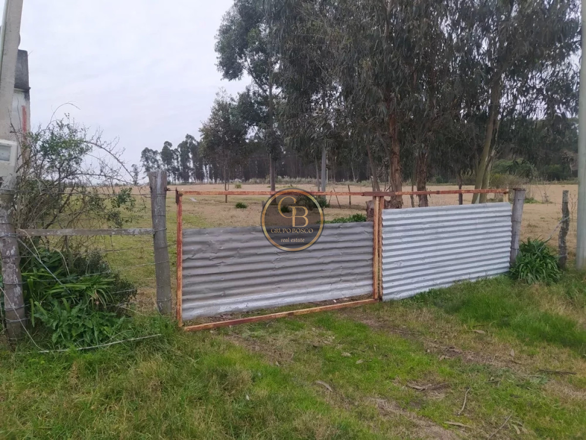Chacra ID.1225 - Venta de Chacra de 5 has en Pando 