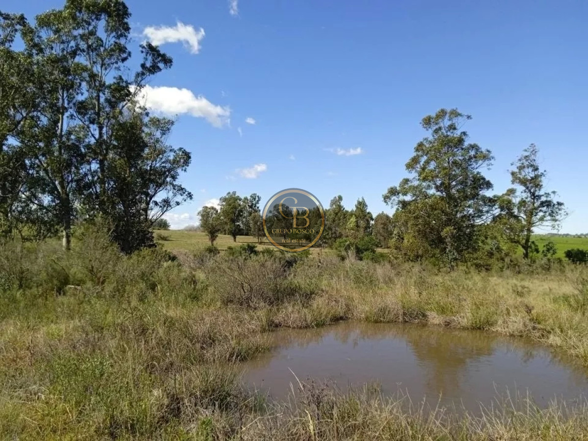 Chacra ID.1219 - Venta de Chacra en Estación La Floresta