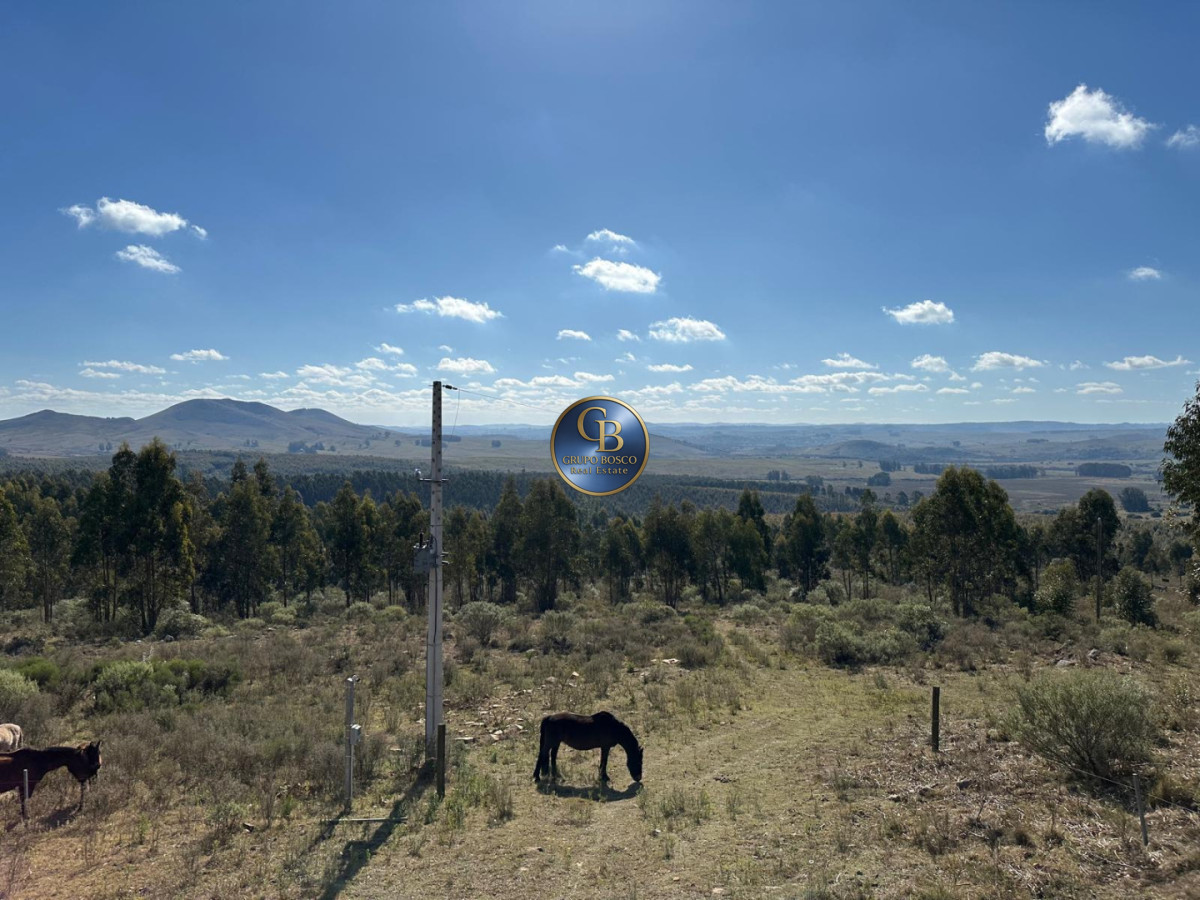 Chacra ID.1478 - VENTA, Chacra en zona Villa Serrana, Minas.