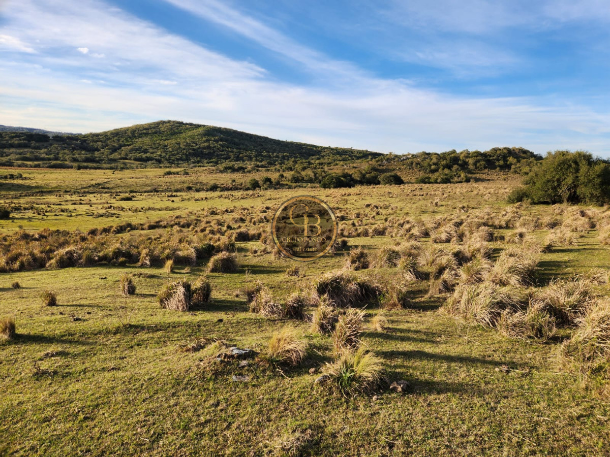Chacra ID.1060 - Chacra en Venta (36 hectáreas ), Garzón