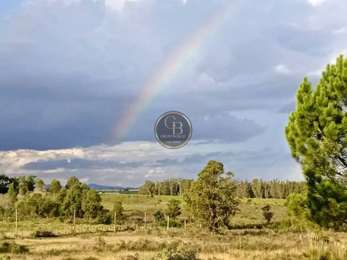 Chacra ID.1210 - Venta de Chacra en Estación La Floresta 