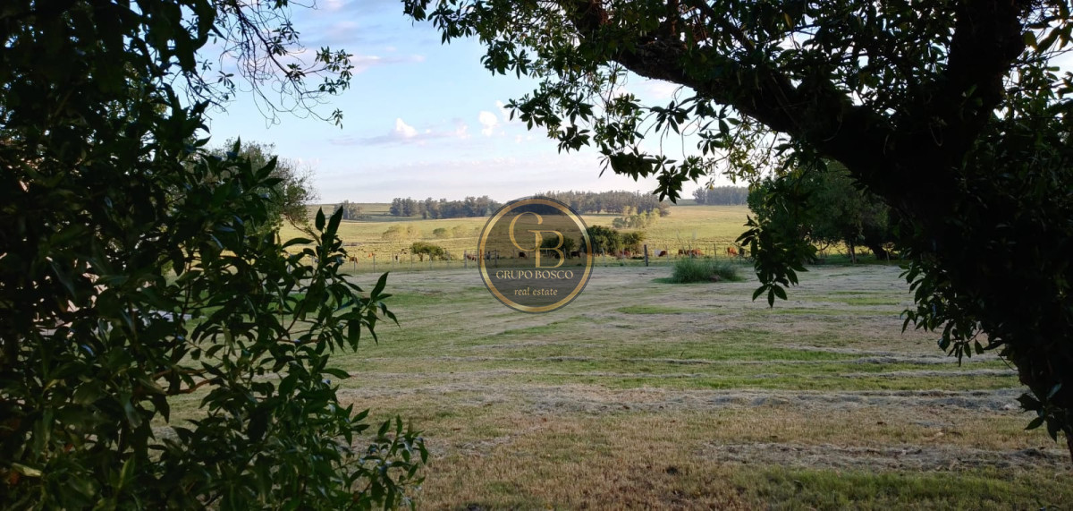 Chacra ID.1063 - Chacra en Venta 64 Has. José Ignacio-Maldonado