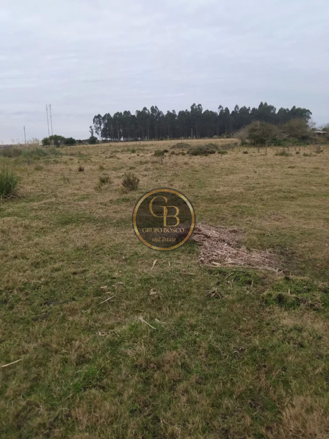 Chacra ID.1225 - Venta de Chacra de 5 has en Pando 
