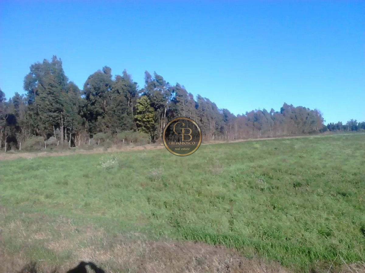 Chacra ID.1226 - Venta de Chacra  de 3 hectareas en zona Atlantida