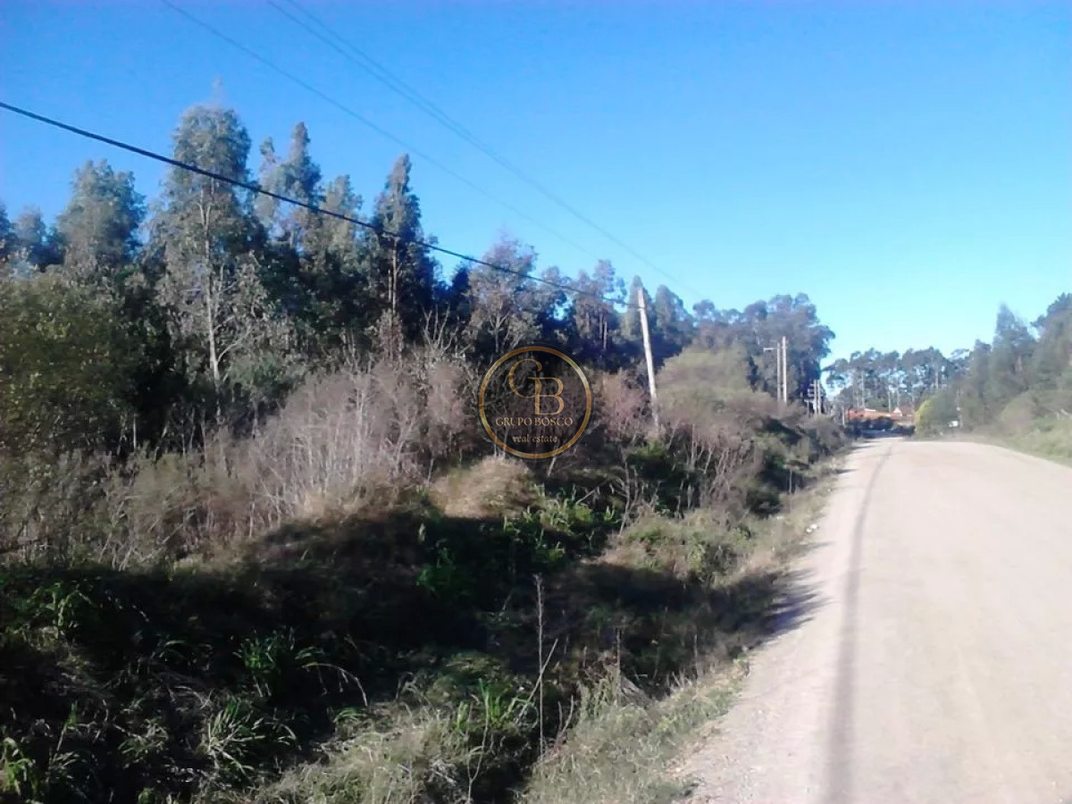 Chacra ID.1226 - Venta de Chacra  de 3 hectareas en zona Atlantida