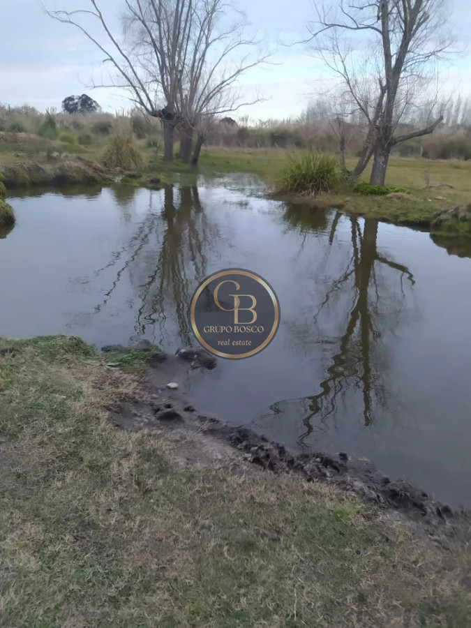 Chacra ID.1225 - Venta de Chacra de 5 has en Pando 