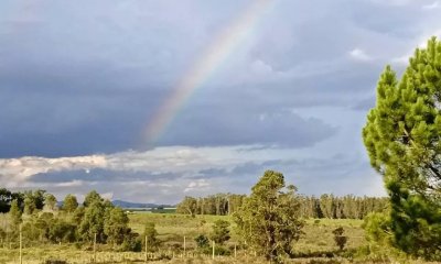 Venta de Chacra en Estación La Floresta