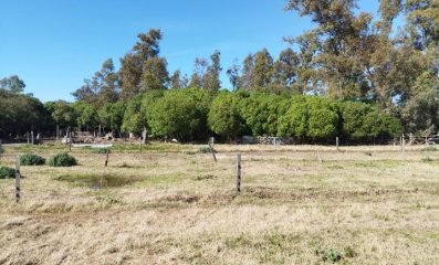 Venta de Chacra 5.9 Hectareas en Atlantida