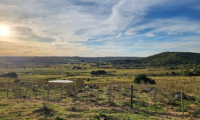 Chacra en Venta (36 hectáreas ), Garzón