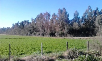 Venta de Chacra  de 3 hectareas en zona Atlantida