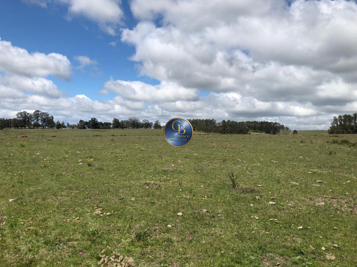 Campo Ref.1128 - En venta campos sobre ruta 9, José Ignacio .