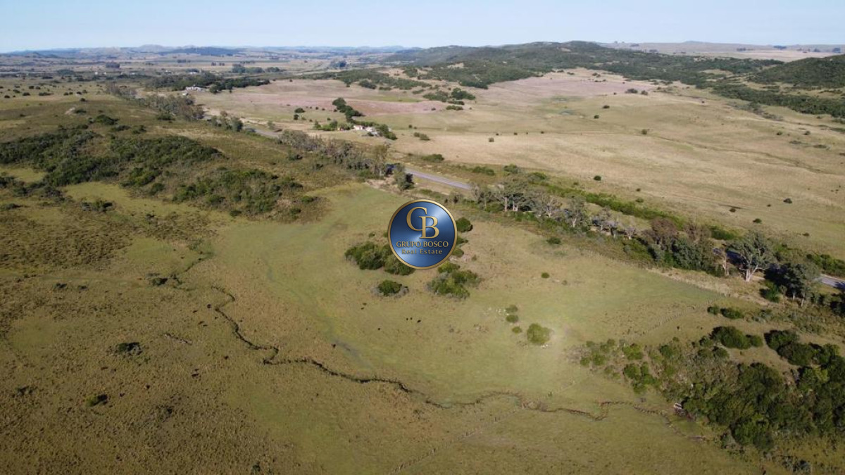 Campo Ref.1338 - Campo  Valle del Toro. 56 hectáreas a U$S 8000 por hectárea.