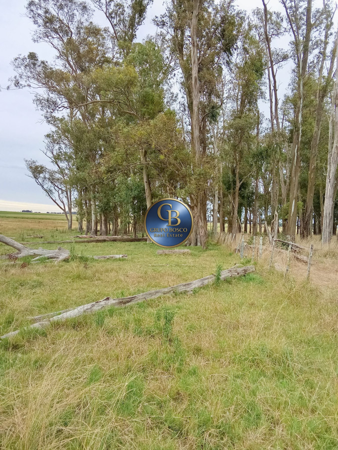 Campo Ref.1366 - Oportunidad en Rocha! Campo de 25 hectáreas en venta. 