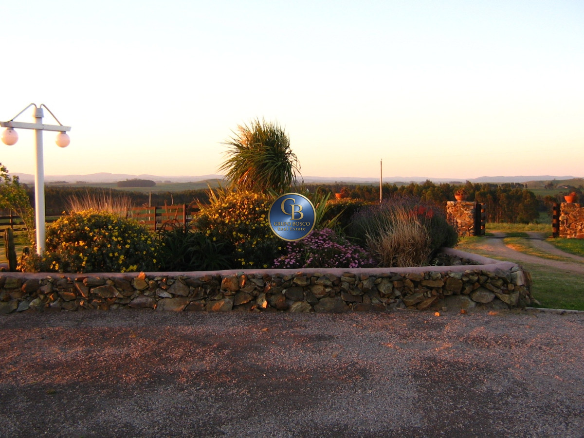 Campo Ref.1208 - En venta 92 hectáreas con hermosa casa.