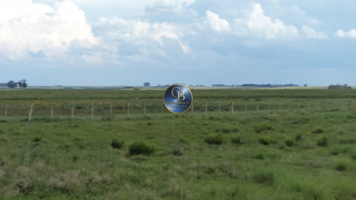 Campo Ref.1256 - Campo 1150 Hectáreas 