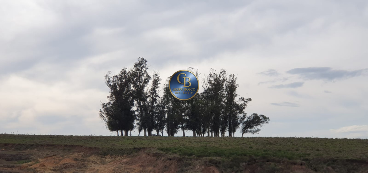 Campo Ref.1141 - Campo a kilometros de José Ignacio