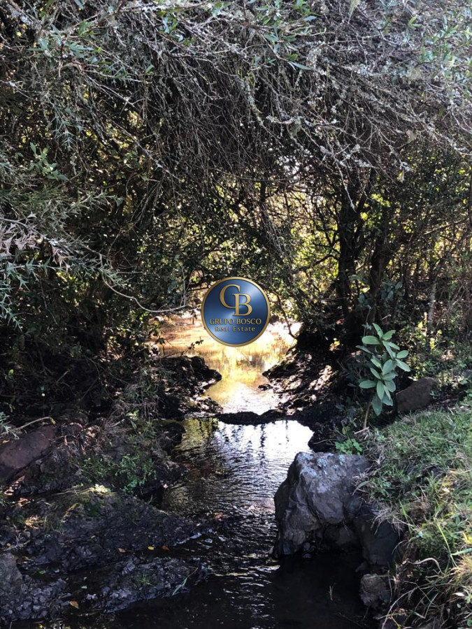 Campo Ref.1338 - Campo  Valle del Toro. 56 hectáreas a U$S 8000 por hectárea.