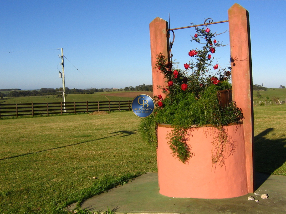 Campo Ref.1208 - En venta 92 hectáreas con hermosa casa.