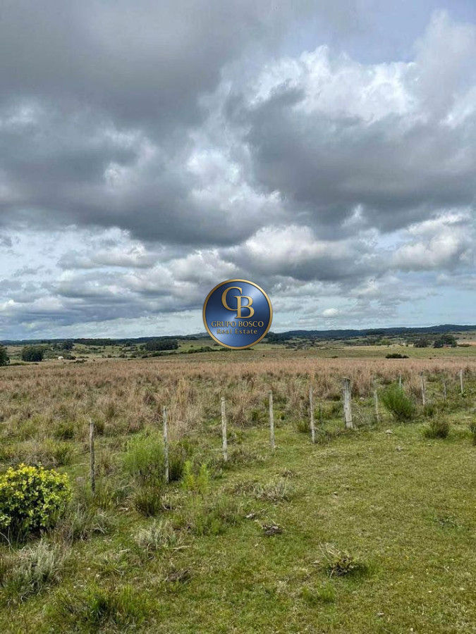 Campo Ref.1164 - Campo en Venta Garzón