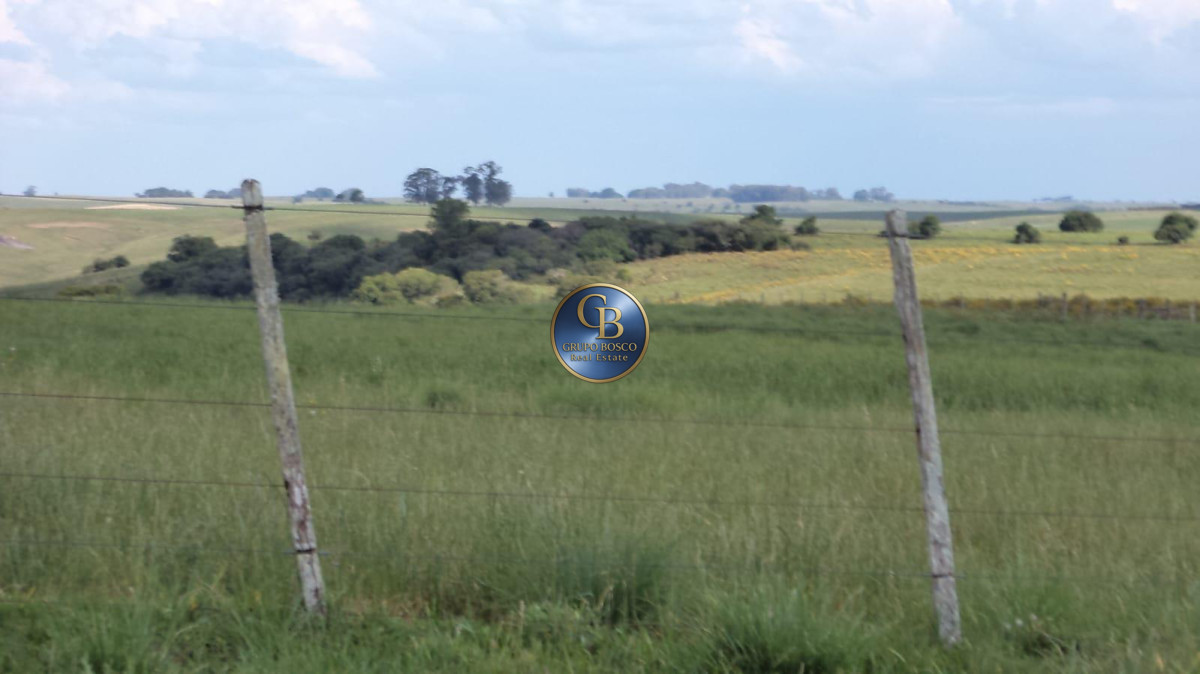 Campo Ref.1256 - Campo 1150 Hectáreas 
