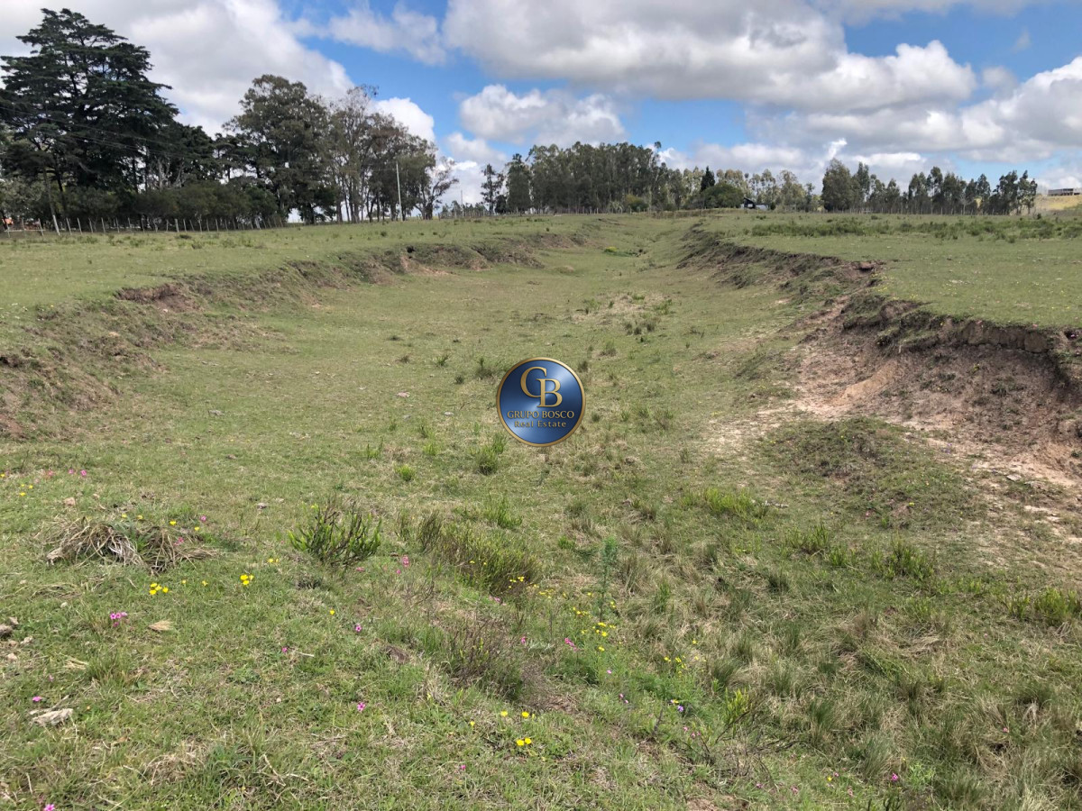 Campo Ref.1128 - En venta campos sobre ruta 9, José Ignacio .