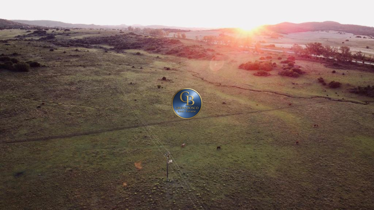Campo Ref.1338 - Campo  Valle del Toro. 56 hectáreas a U$S 8000 por hectárea.
