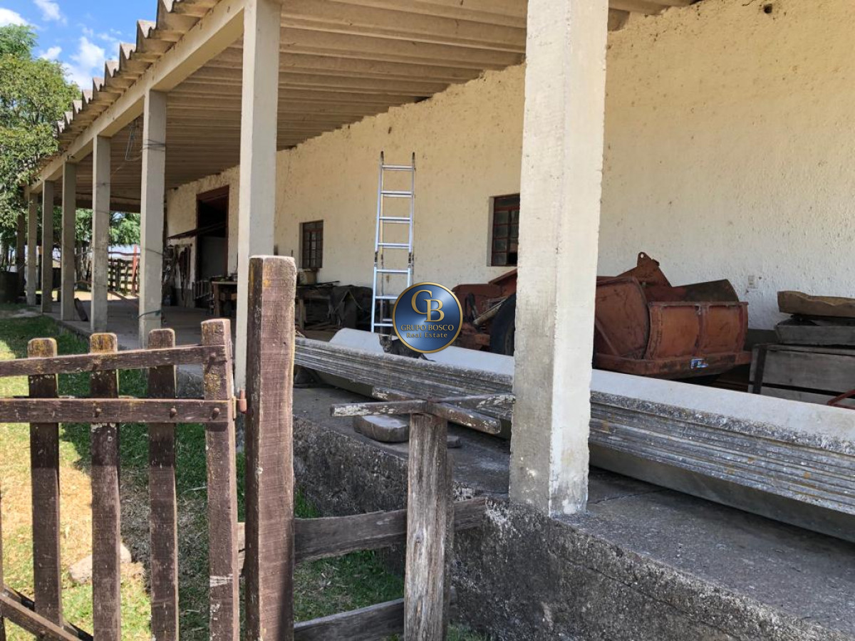 Campo Ref.1256 - Campo 1150 Hectáreas 