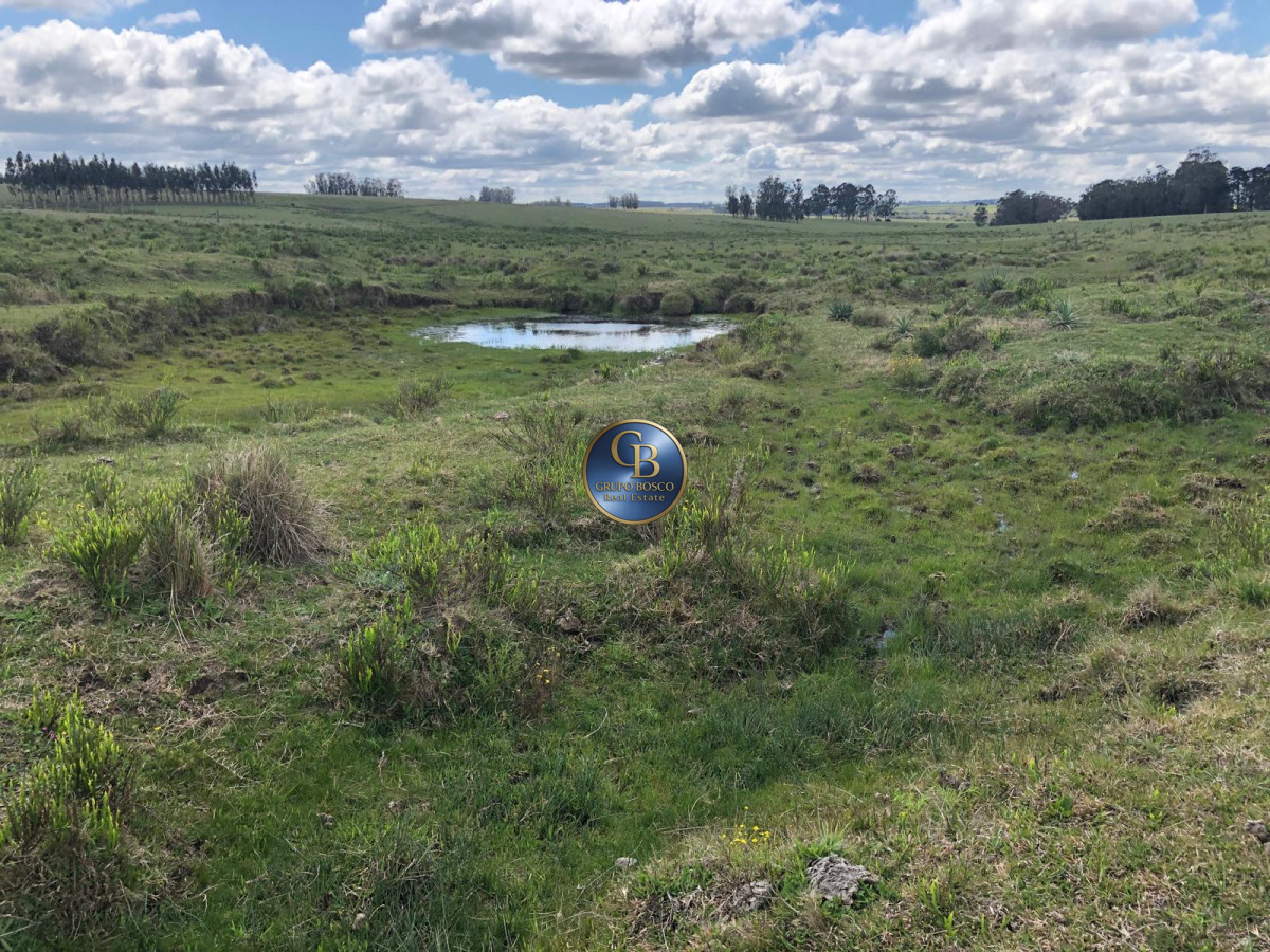 Campo Ref.1128 - En venta campos sobre ruta 9, José Ignacio .
