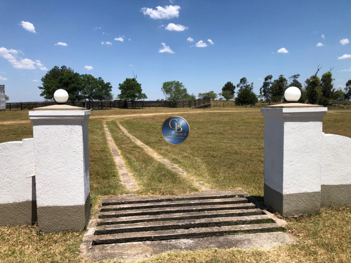 Campo Ref.1256 - Campo 1150 Hectáreas 