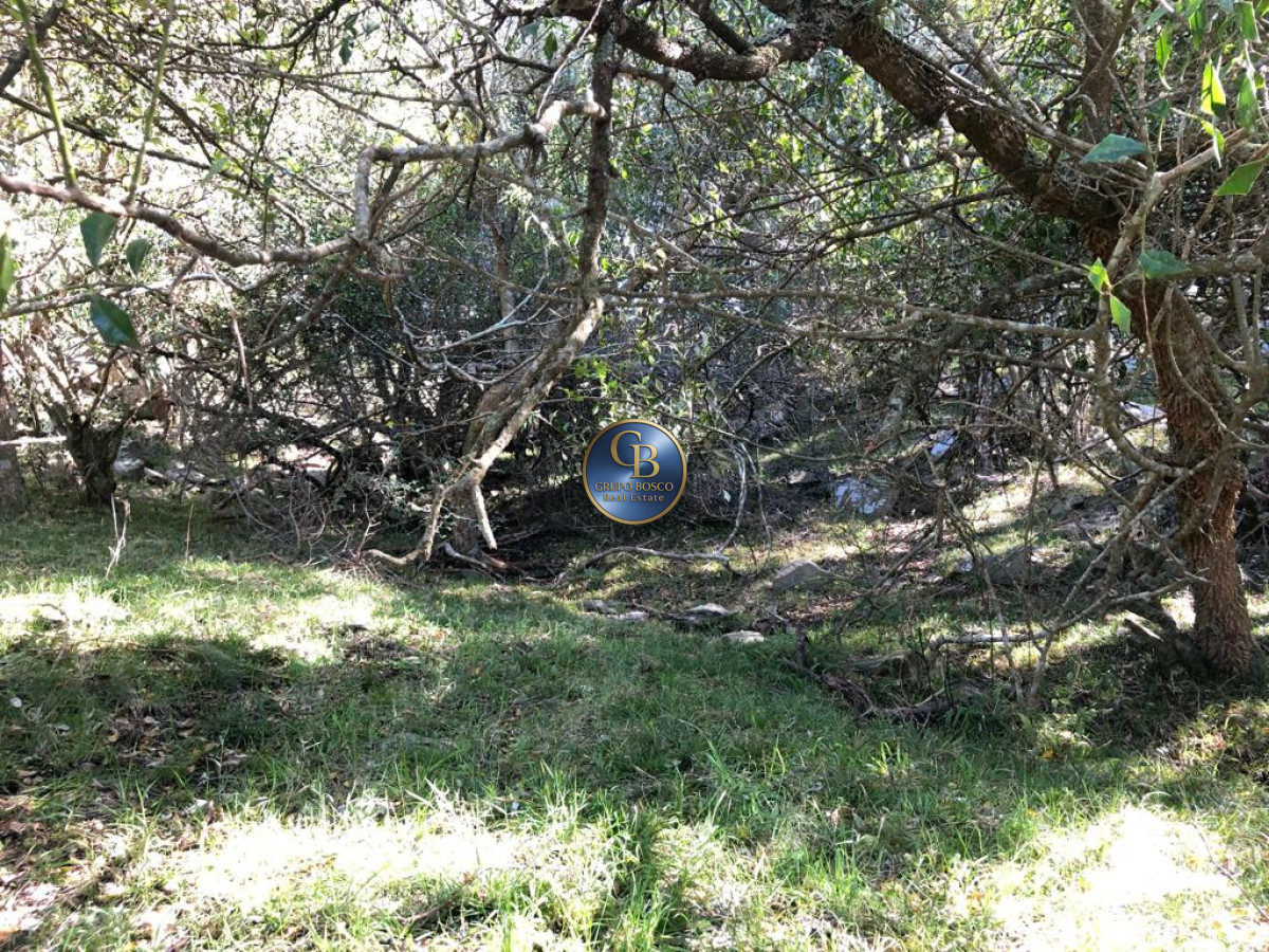 Campo Ref.1338 - Campo  Valle del Toro. 56 hectáreas a U$S 8000 por hectárea.