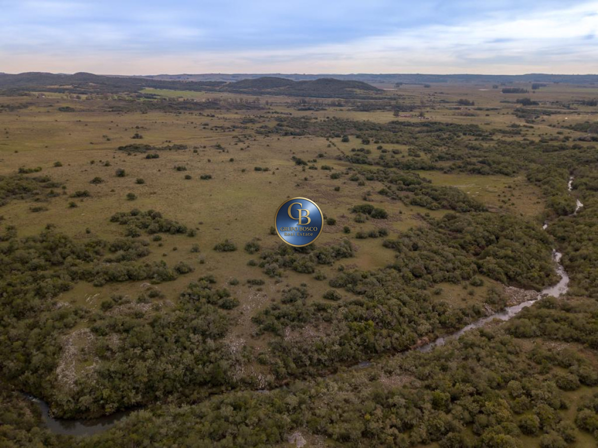 Campo Ref.1338 - Campo  Valle del Toro. 56 hectáreas a U$S 8000 por hectárea.
