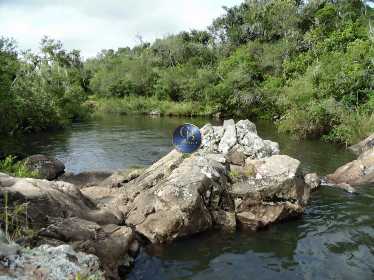 Campo Ref.1338 - Campo  Valle del Toro. 56 hectáreas a U$S 8000 por hectárea.
