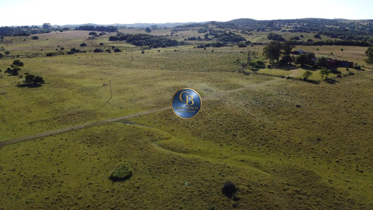Campo Ref.1338 - Campo  Valle del Toro. 56 hectáreas a U$S 8000 por hectárea.