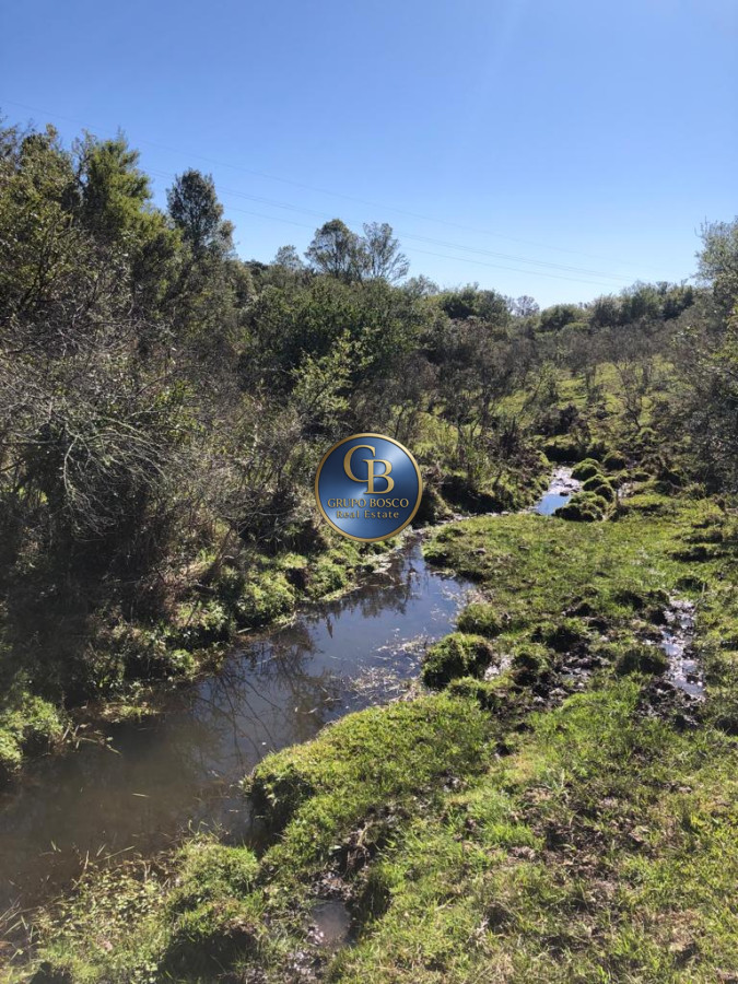 Campo Ref.1338 - Campo  Valle del Toro. 56 hectáreas a U$S 8000 por hectárea.