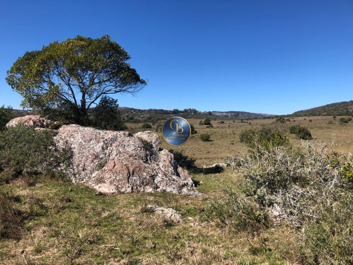 Campo Ref.1338 - Campo  Valle del Toro. 56 hectáreas a U$S 8000 por hectárea.