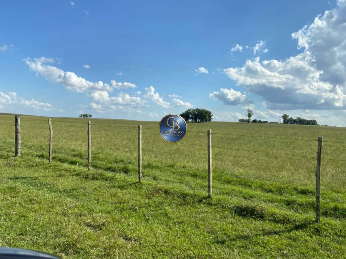 Campo Ref.1256 - Campo 1150 Hectáreas 